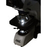 Микроскоп LEVENHUK MED 40B, бинокулярный 74004